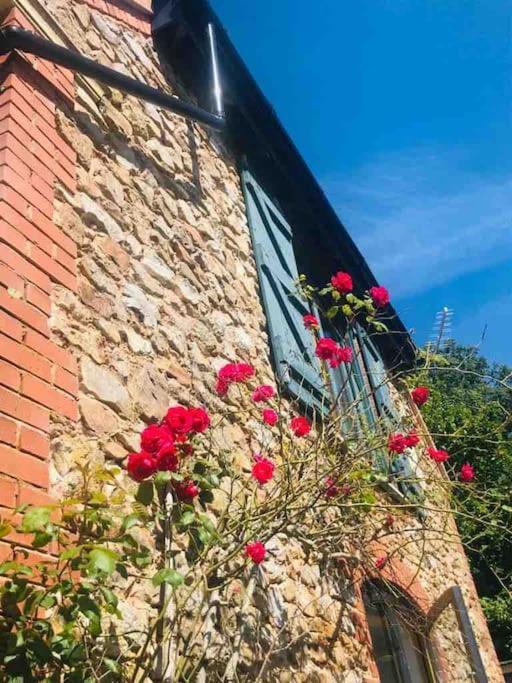 فيلا Burleyhayes Barn - Secluded Devon Hideaway. Hemyock المظهر الخارجي الصورة